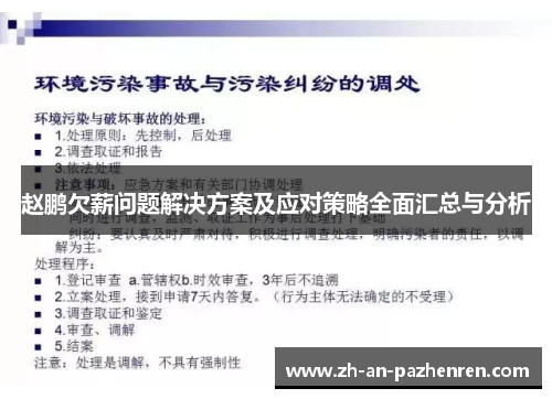 赵鹏欠薪问题解决方案及应对策略全面汇总与分析 赵鹏欠薪问题解决方案及应对策略全面汇总与分析