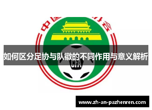 如何区分足协与队徽的不同作用与意义解析