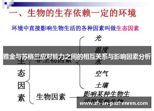 雅金与苏格兰应对能力之间的相互关系与影响因素分析