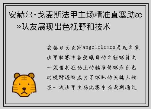 安赫尔·戈麦斯法甲主场精准直塞助攻队友展现出色视野和技术 安赫尔·戈麦斯法甲主场精准直塞助攻队友展现出色视野和技术